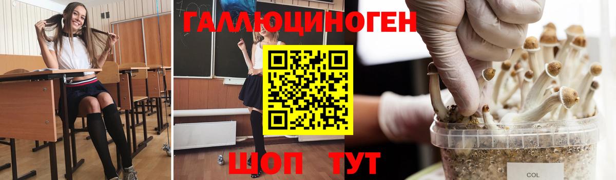 Псилоцибиновые грибы ЛСД  Вход с VPN  Анапа 